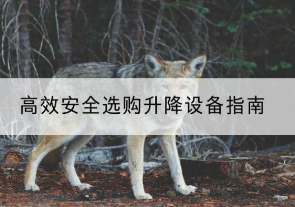 米东升降货梯厂家推荐-*安全选购升降设备指南