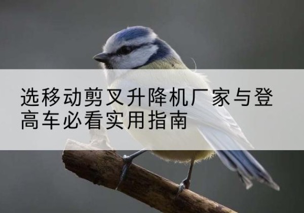 米东电动升降机厂家-选移动剪叉升降机厂家与登高车必看实用指南