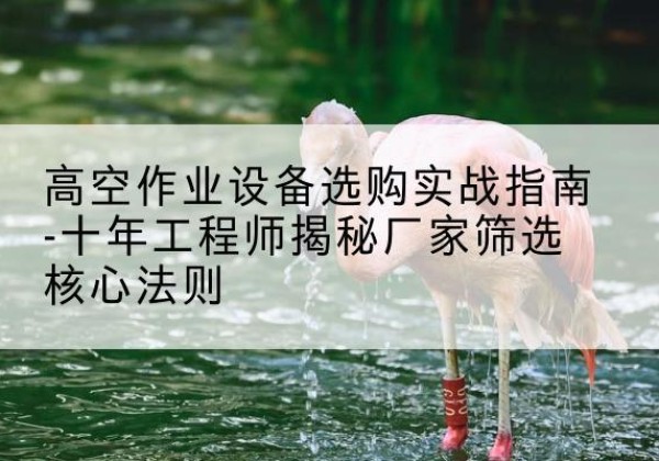 米东剪叉式升降机厂家-高空作业设备选购实战指南-十年工程师揭秘厂家筛选核心法则